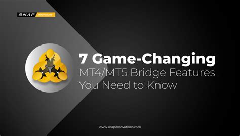 Release notes: Bridge MT4/MT5 with RMS .